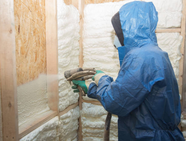 Professional Insulation in Garrison, TX